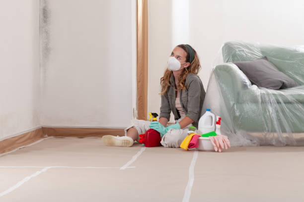 Reliable Black Mold Removal contractor in Guston, KY by WQB Mold Removal